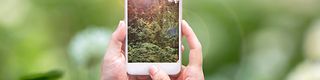 Two hands holding a smartphone displaying a green forest on its screen