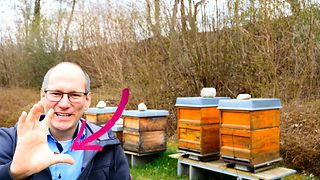 210518-vernetzte-Bienenstöcke
